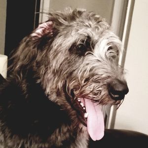 Meet your Posher, Kaylan